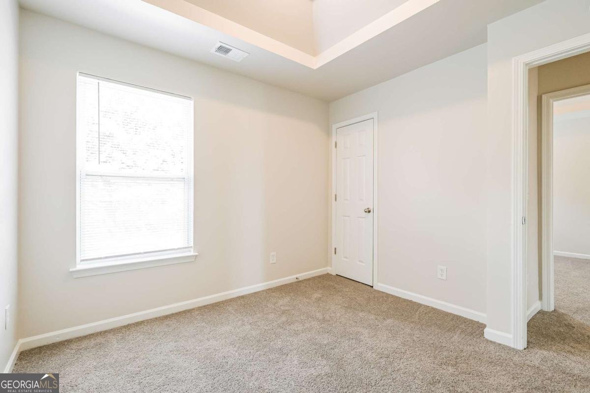 4411 Plum Frost Court Oakwood - 9