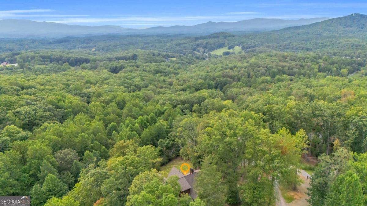 35 Homestead Drive Mineral Bluff - 71