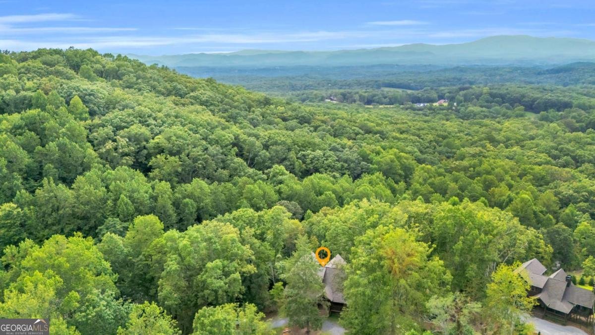 35 Homestead Drive Mineral Bluff - 72