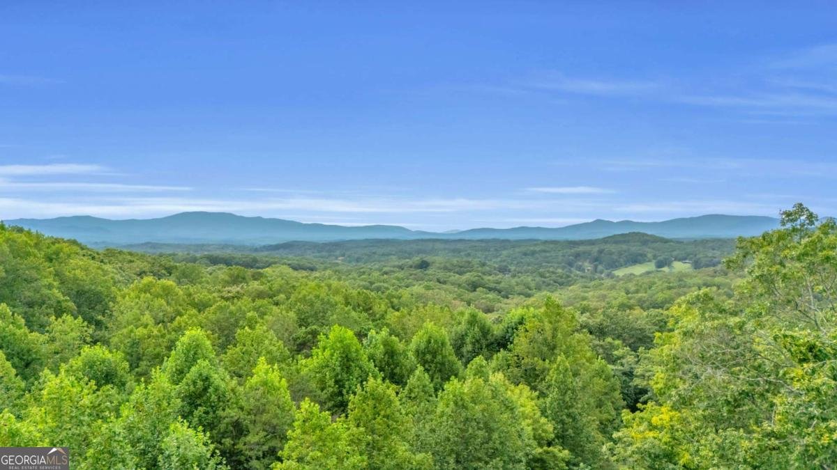 35 Homestead Drive Mineral Bluff - 74