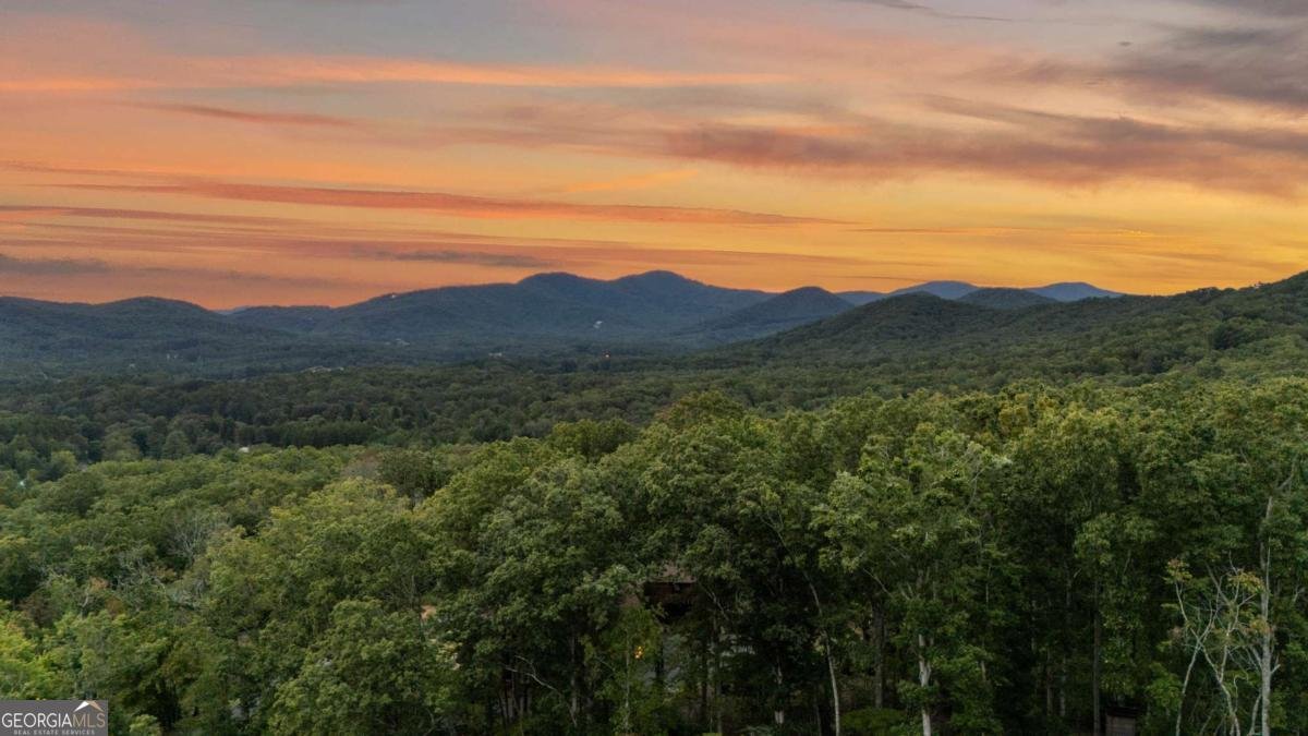 35 Homestead Drive Mineral Bluff - 76