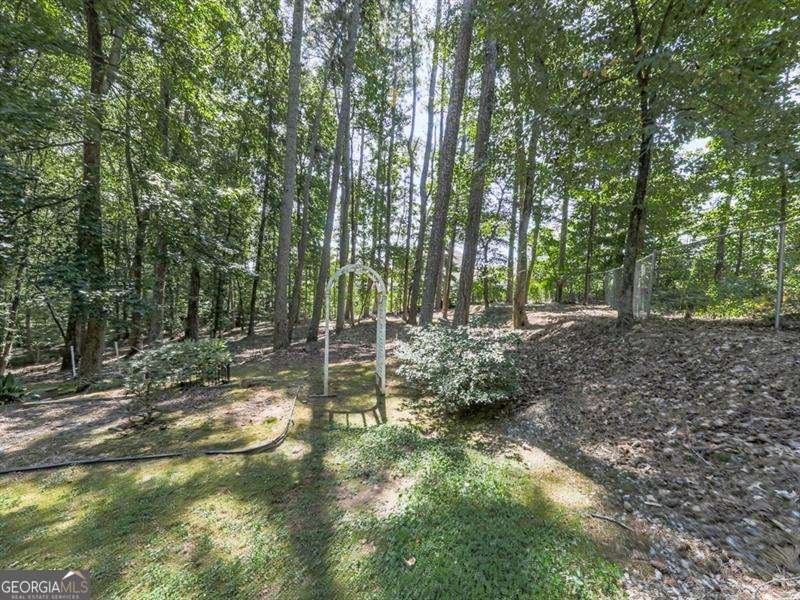 5855 Wills Lake Road Cumming - 43