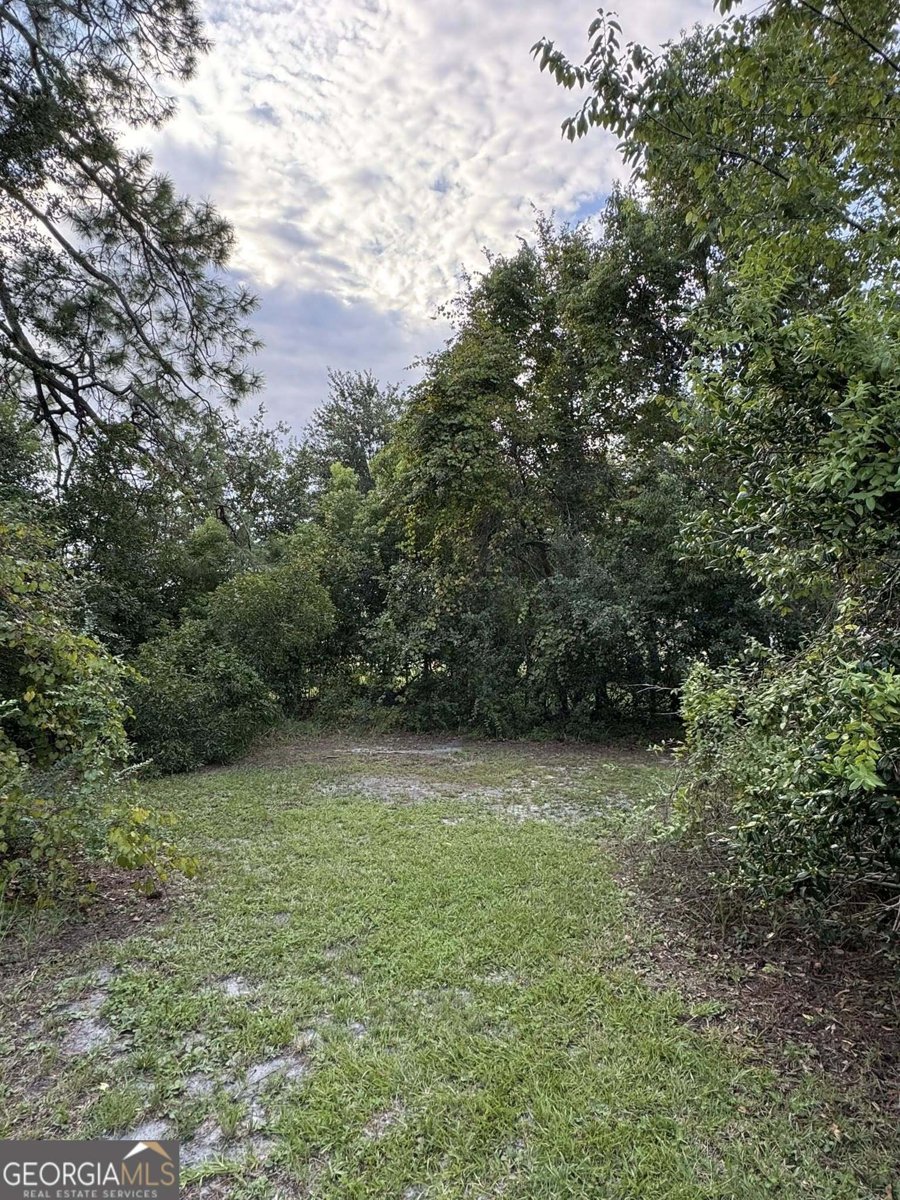 198 Holmesville Avenue Baxley - 27