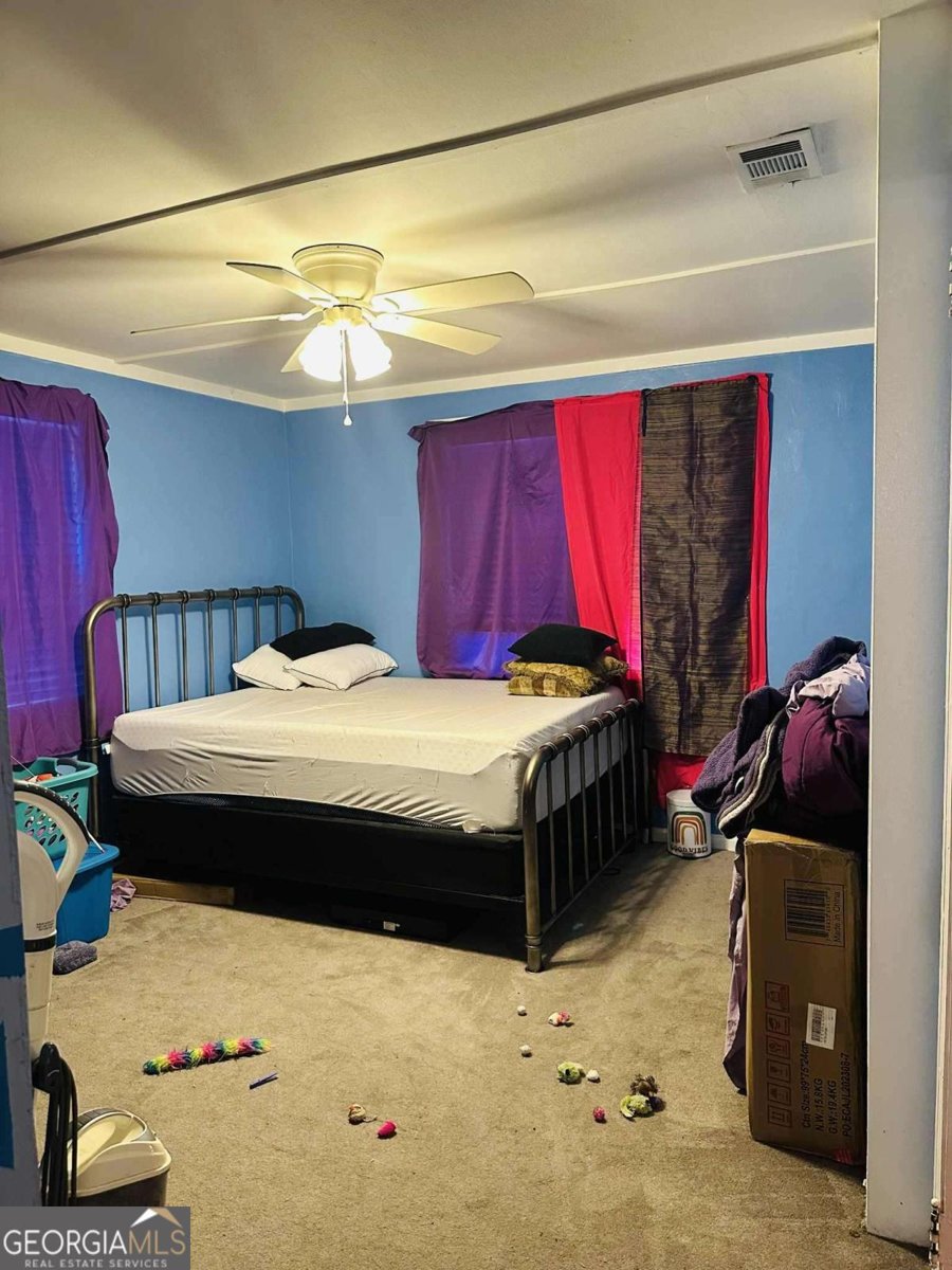 198 Holmesville Avenue Baxley - 8