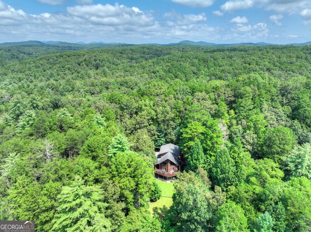 110 Bear Pause Road Morganton - 23