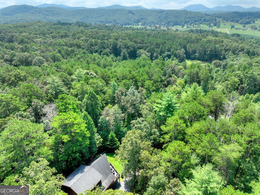 110 Bear Pause Road Morganton - 24