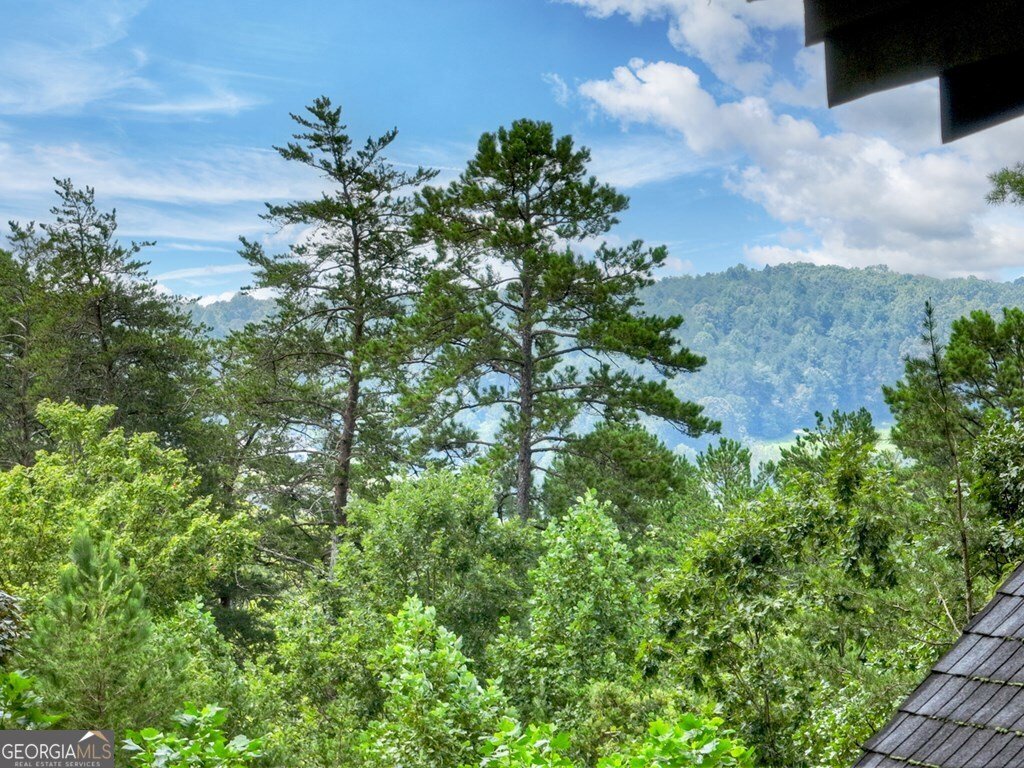 110 Bear Pause Road Morganton - 47