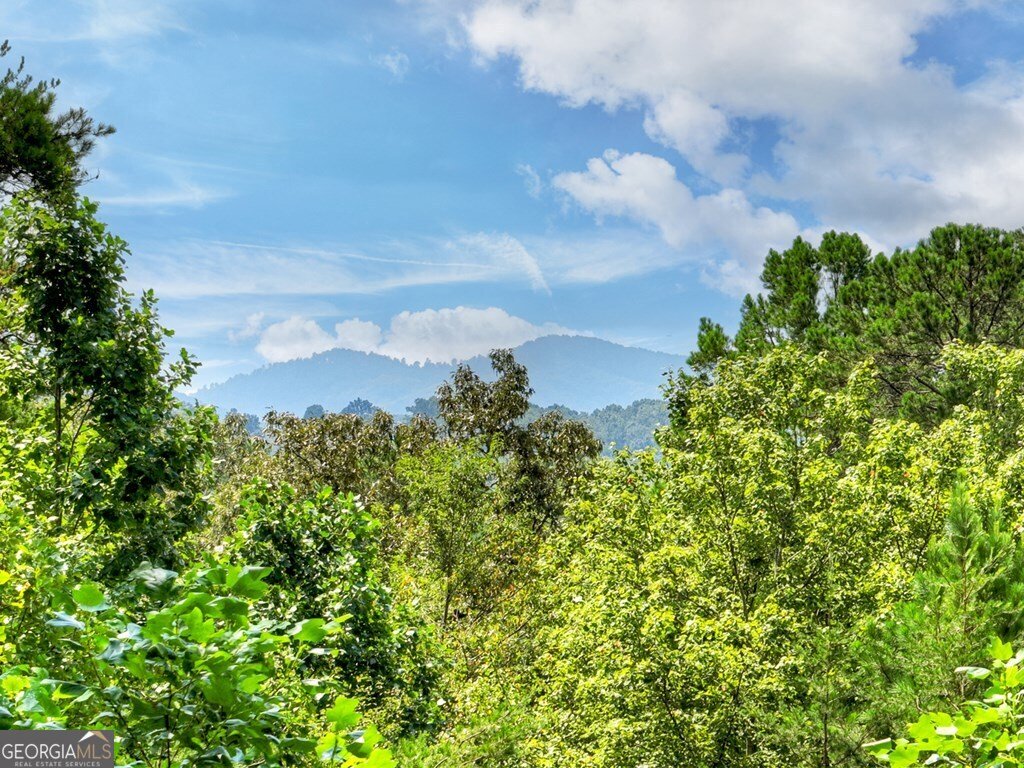 110 Bear Pause Road Morganton - 52