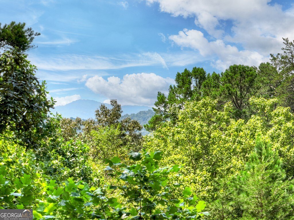 110 Bear Pause Road Morganton - 54