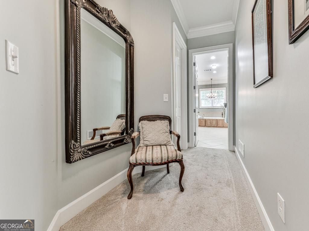 405 Larkspur Drive canton - 29