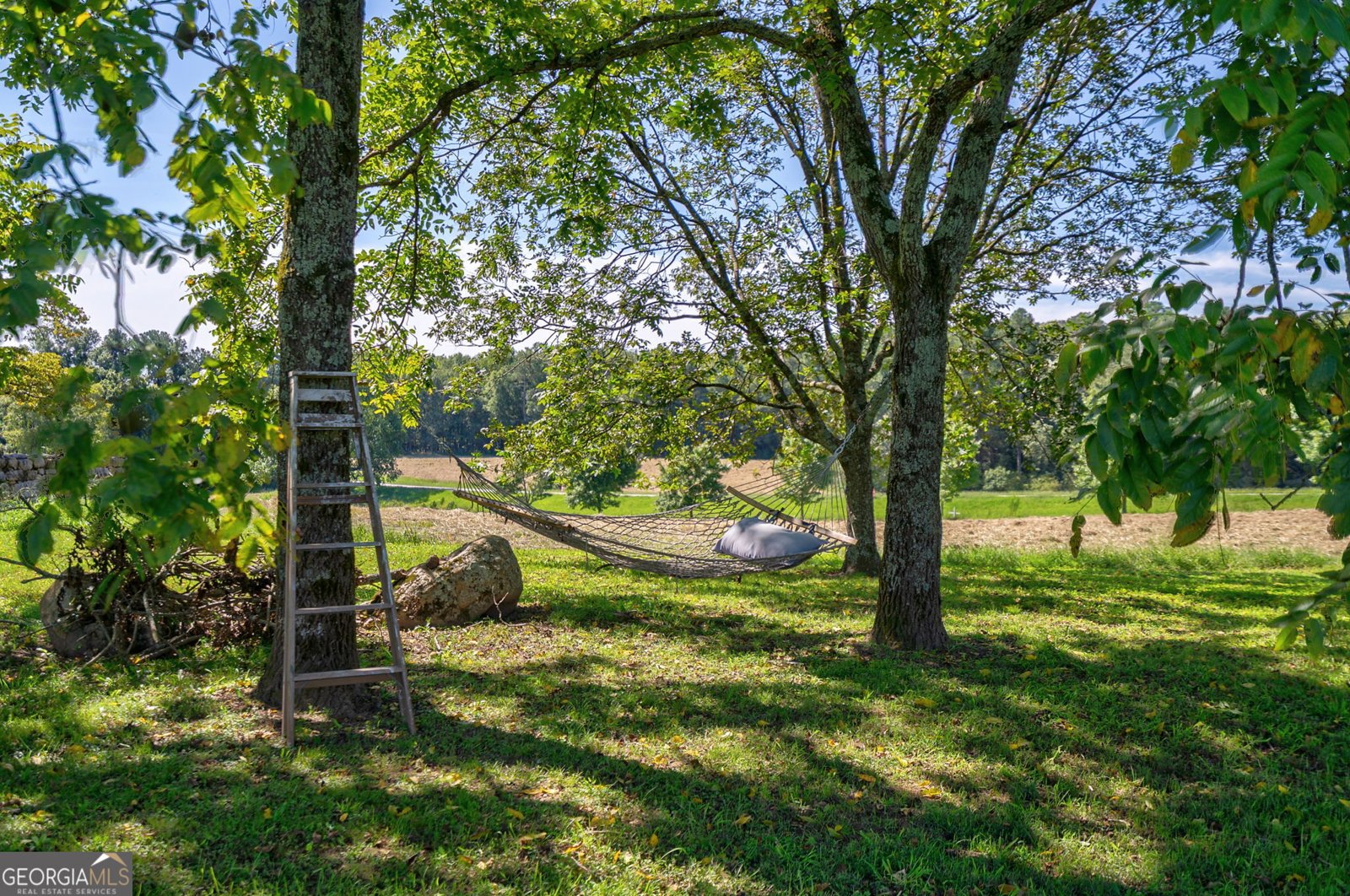 1761 Farmington Road Madison - 40