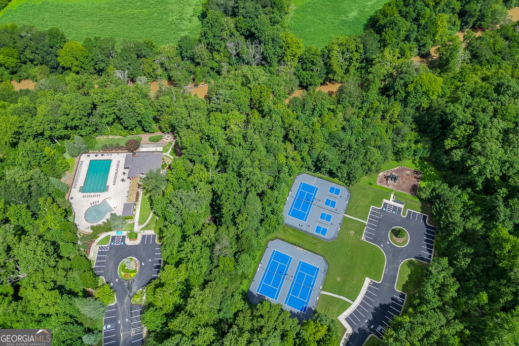 8665 Etowah Bluffs Road Ball Ground - 18