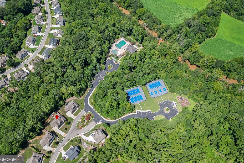 8665 Etowah Bluffs Road Ball Ground - 21