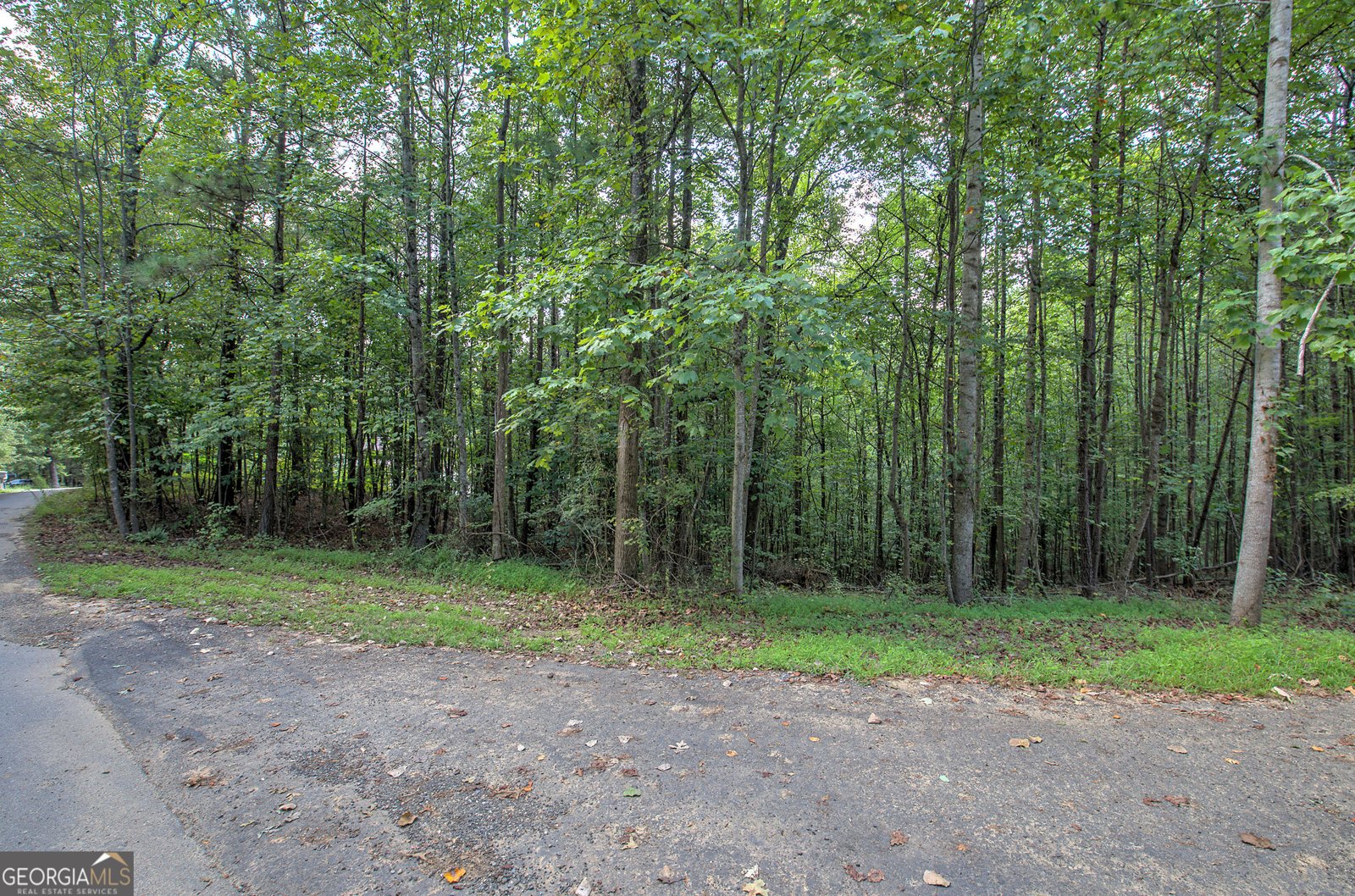 5375 Crystal Mountain Road Acworth - 69