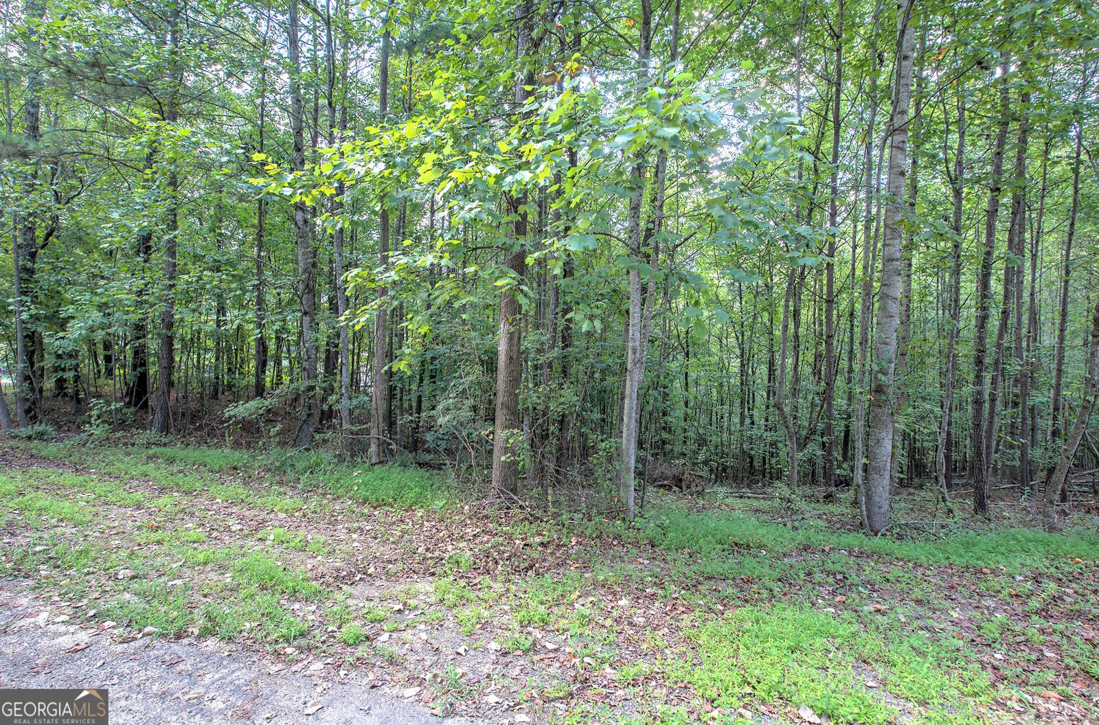 5375 Crystal Mountain Road Acworth - 70