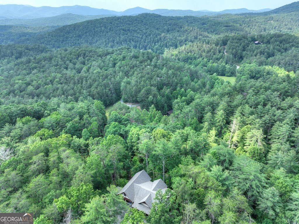 508 Little Bee Lane Cherry Log - 29