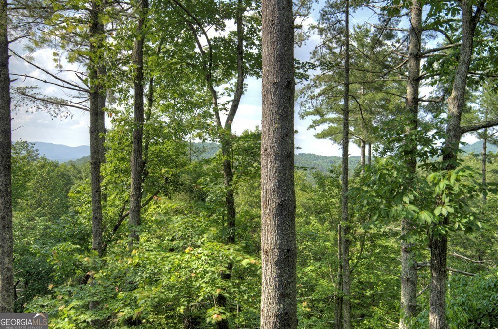 508 Little Bee Lane Cherry Log - 40