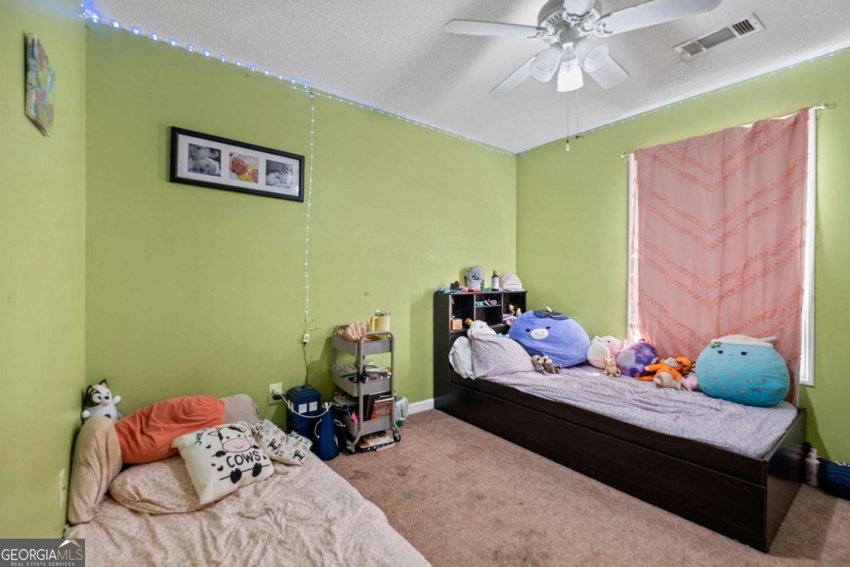 1224 PALMER Drive Winder - 20