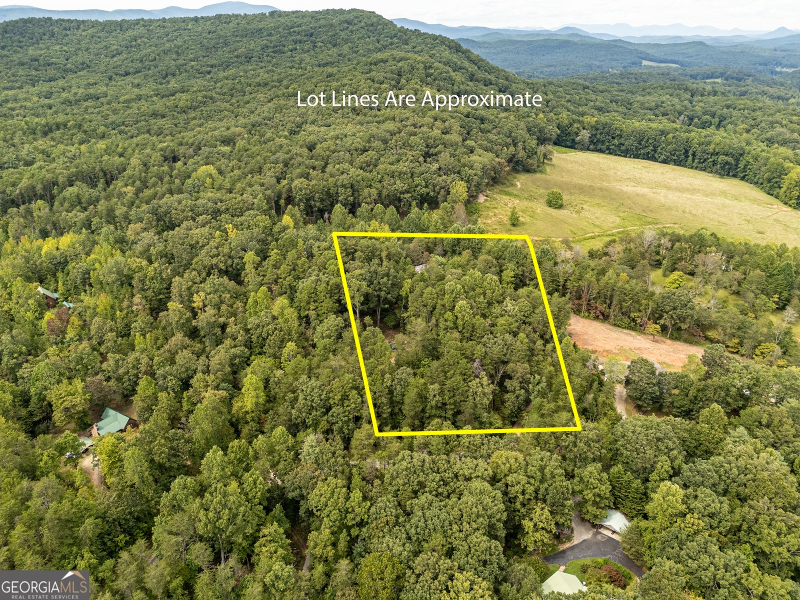 484 Jim Carter Road Clarkesville - 48