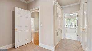 116 River Sound Alley Dawsonville - 31