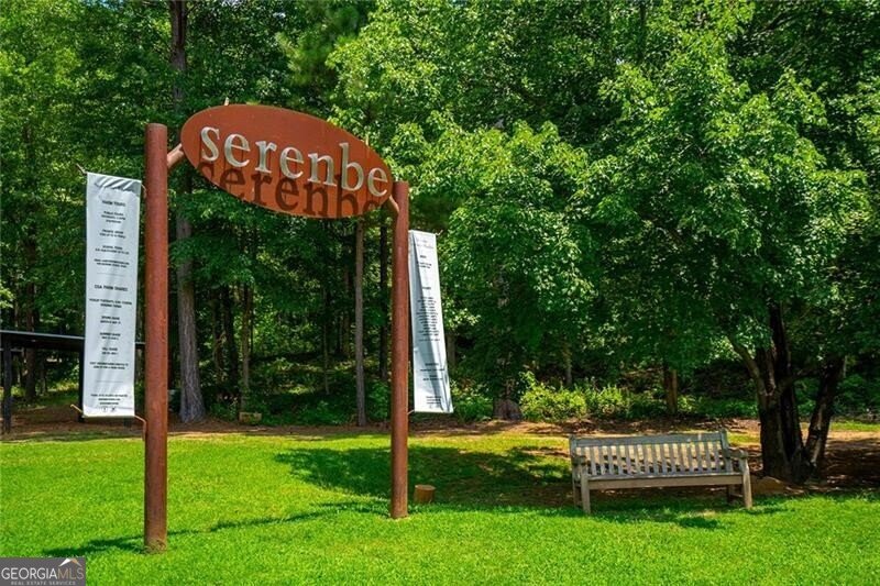 9032 Selborne Lane Chattahoochee Hills - 51