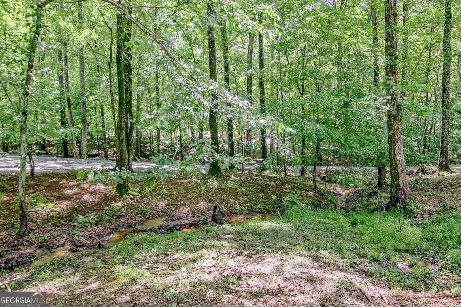305 Postwood Drive Fayetteville - 46