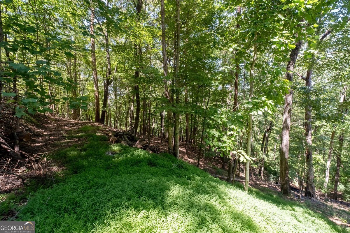 986 Mountain Oak Road Ellijay - 32