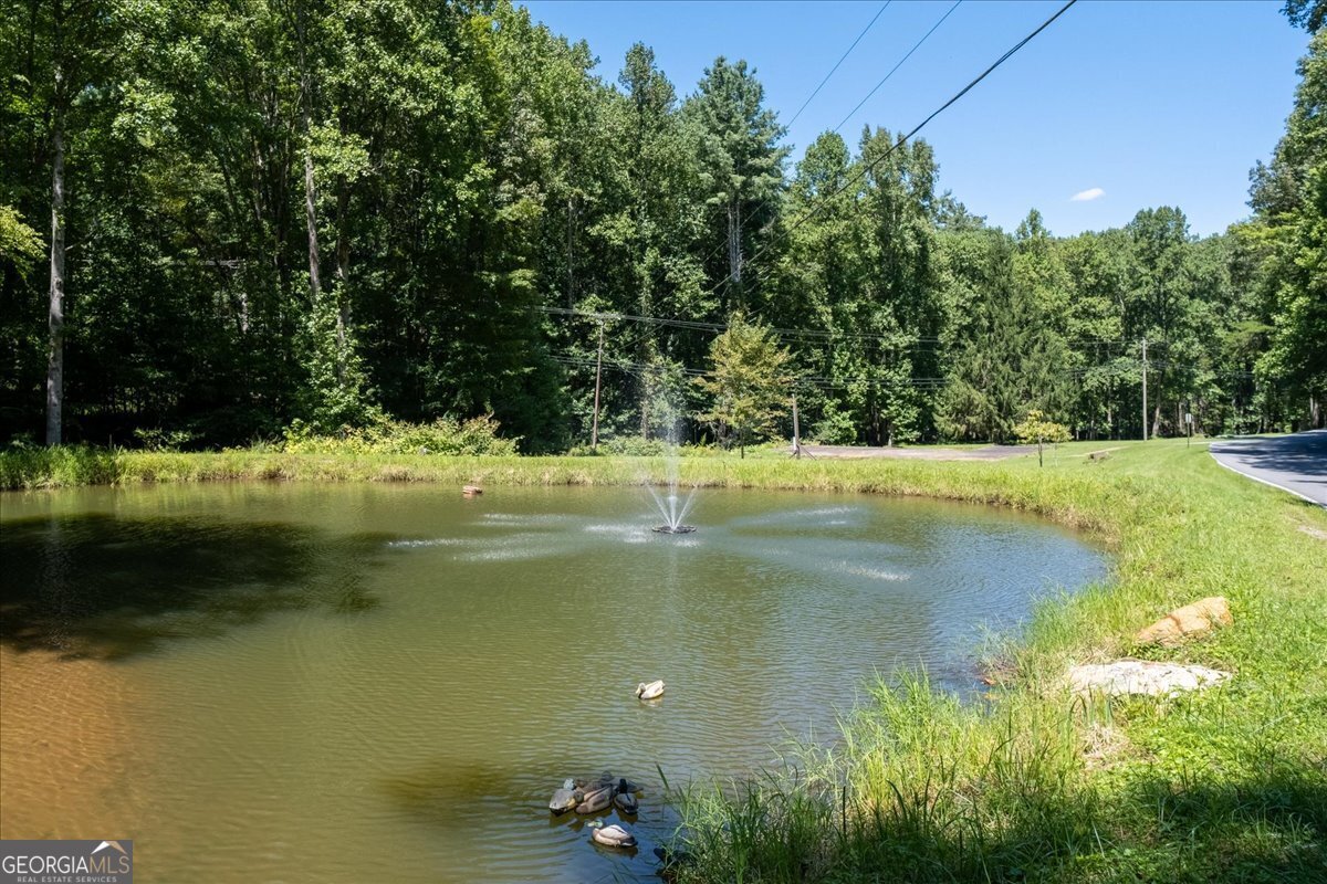 986 Mountain Oak Road Ellijay - 37