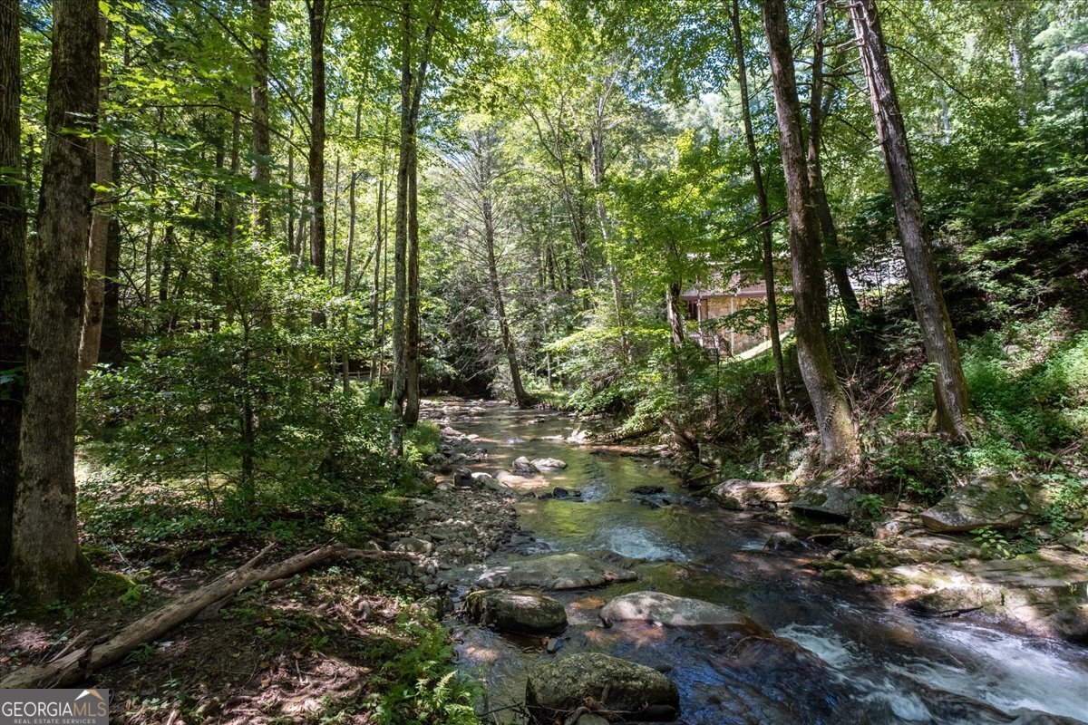986 Mountain Oak Road Ellijay - 40