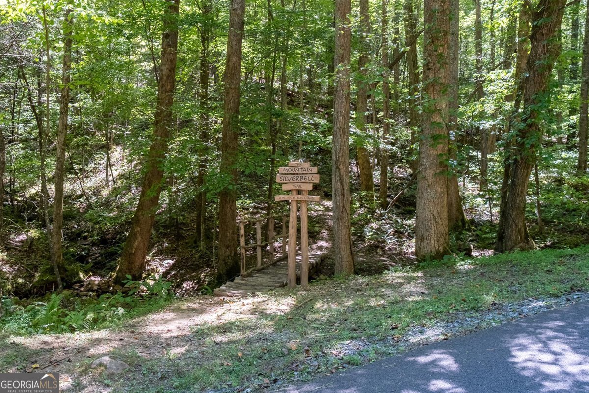 986 Mountain Oak Road Ellijay - 45