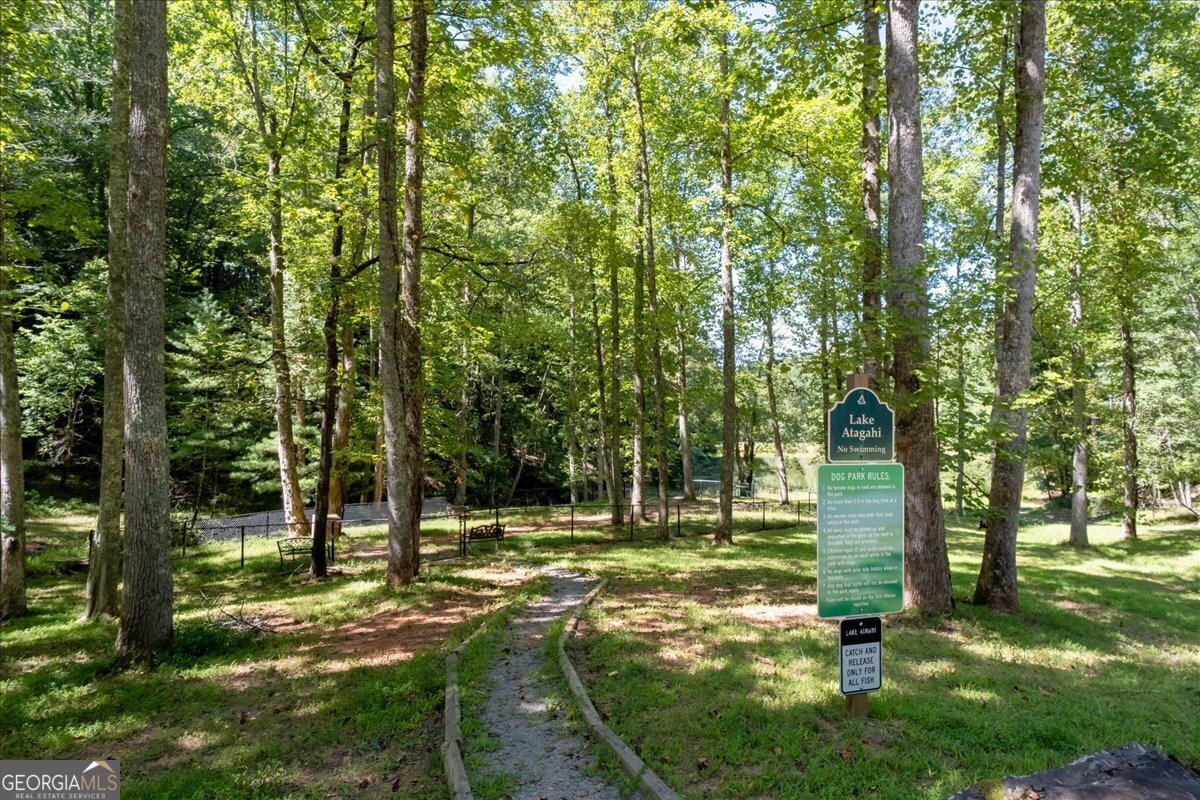 986 Mountain Oak Road Ellijay - 46