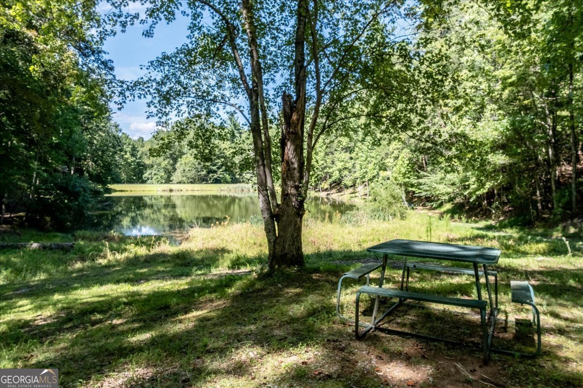 986 Mountain Oak Road Ellijay - 48