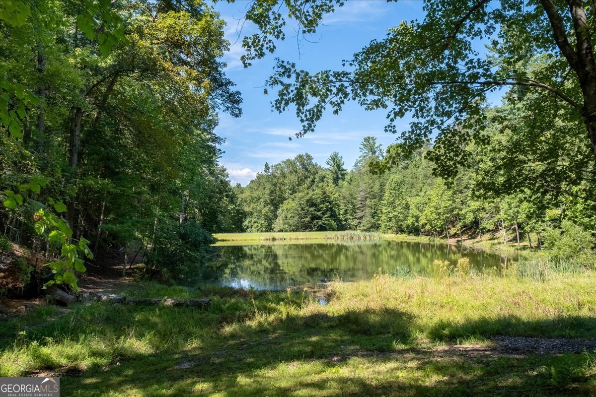 986 Mountain Oak Road Ellijay - 49