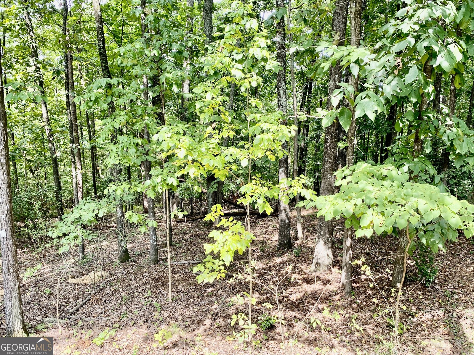 52 Twickenham Road Rome - 29