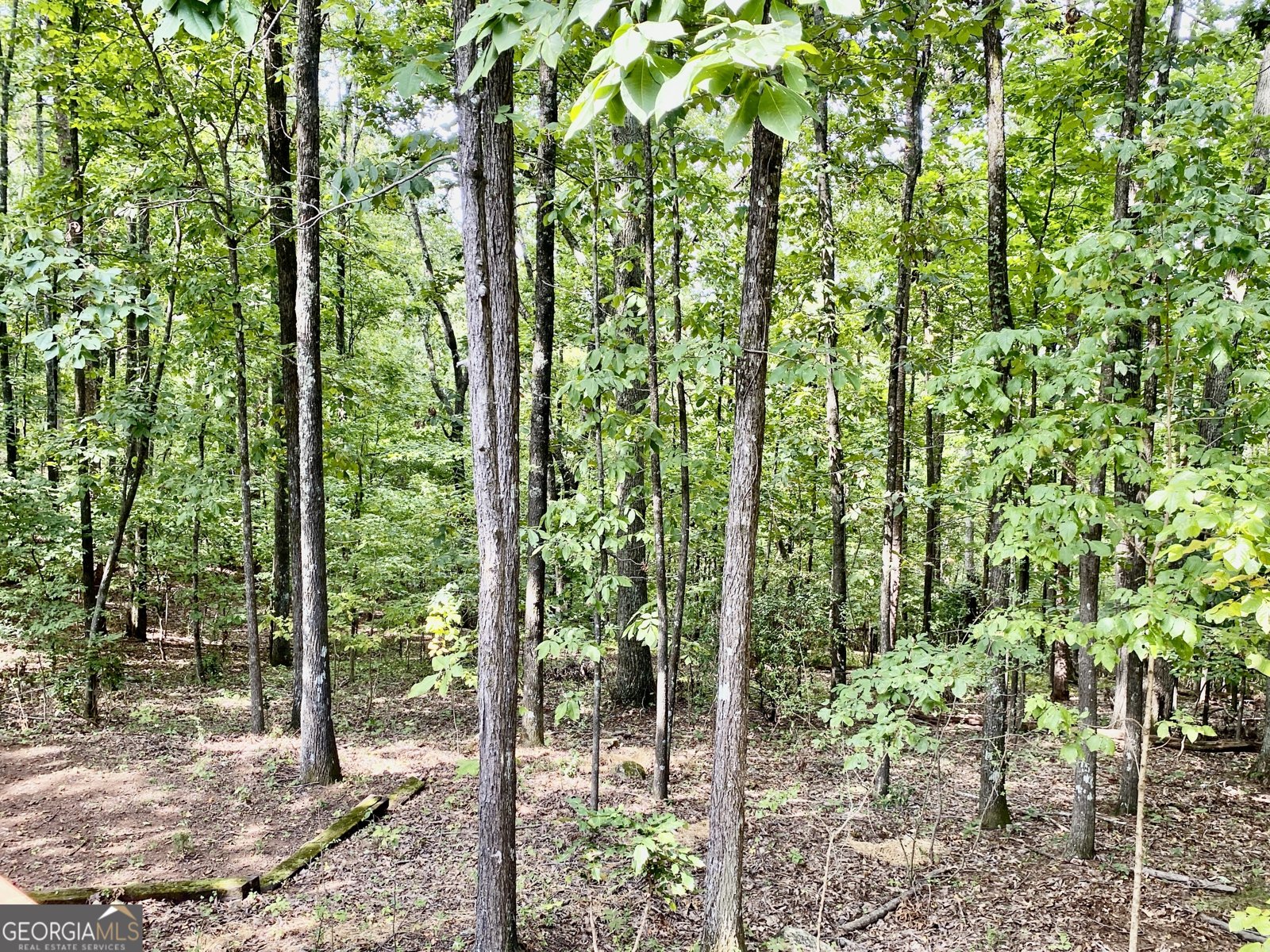 52 Twickenham Road Rome - 30