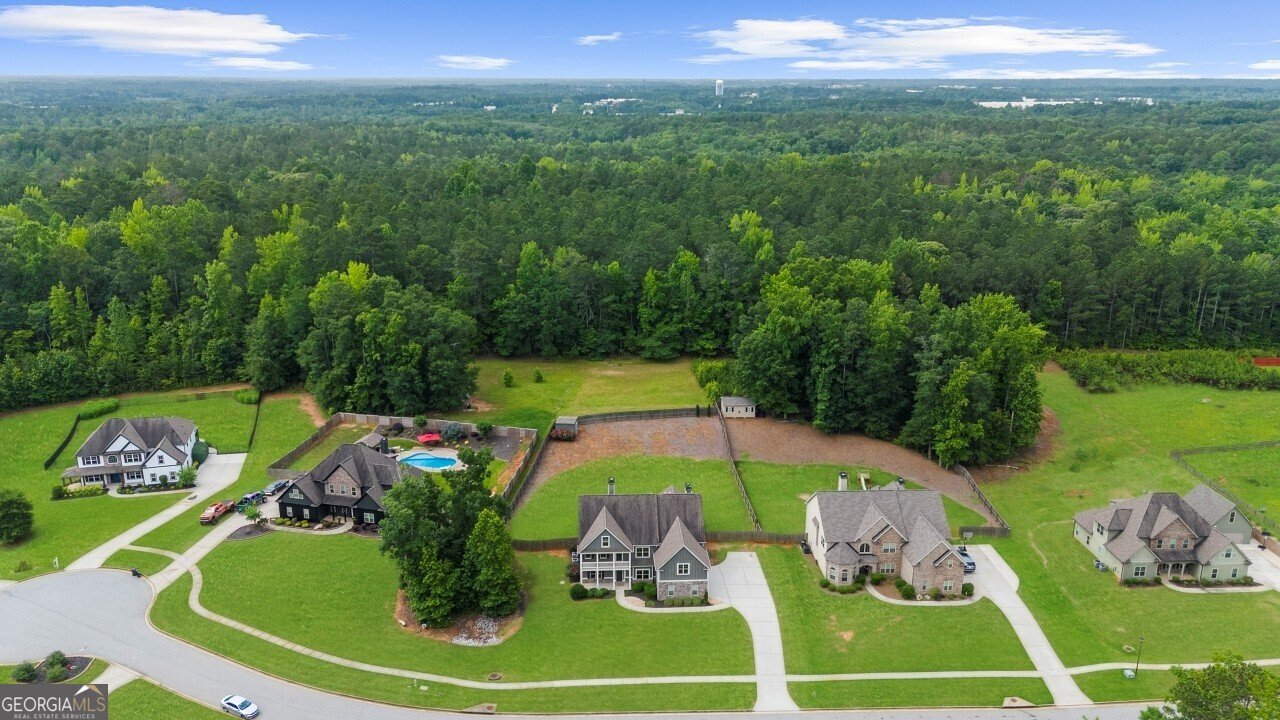 233 Palomino Drive Newnan - 54