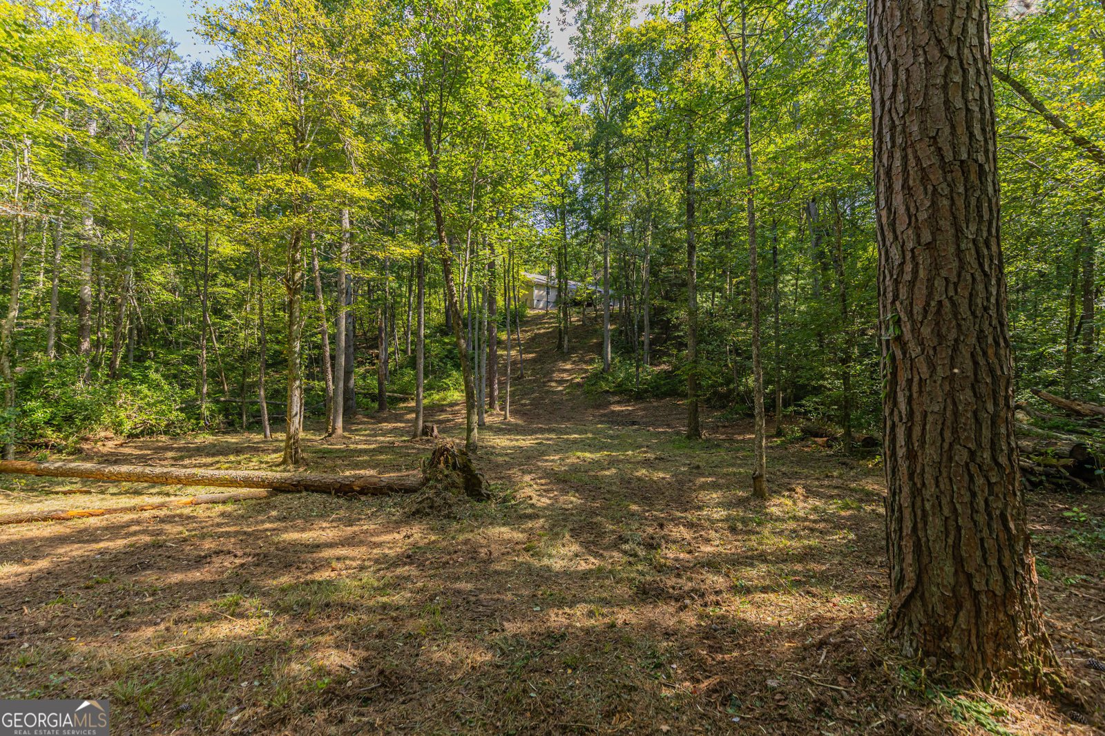 4542 Clear Creek Road Ellijay - 48
