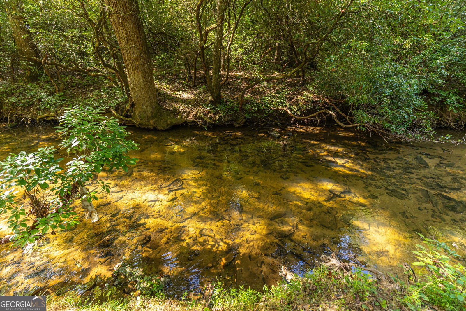 4542 Clear Creek Road Ellijay - 49