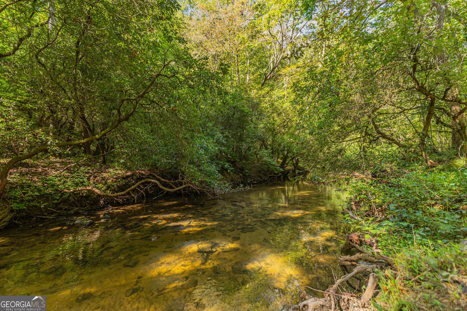 4542 Clear Creek Road Ellijay - 50