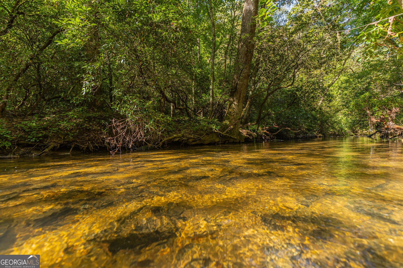 4542 Clear Creek Road Ellijay - 51
