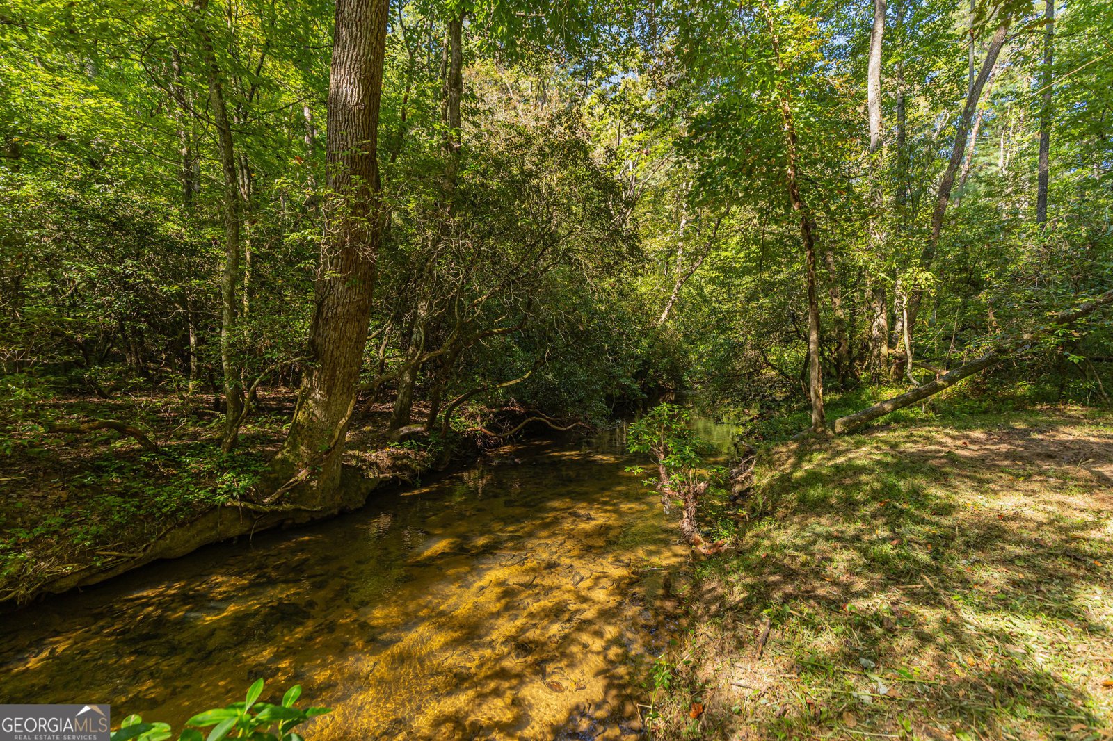4542 Clear Creek Road Ellijay - 52