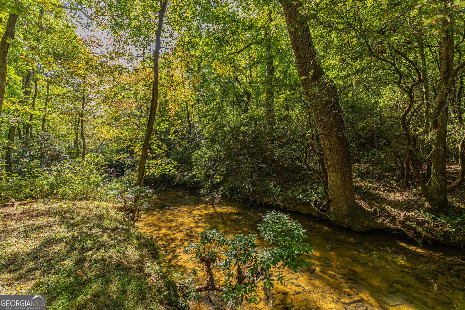 4542 Clear Creek Road Ellijay - 53