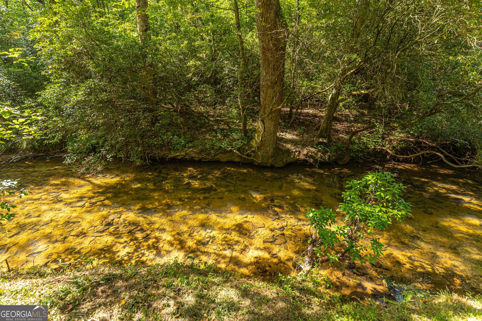 4542 Clear Creek Road Ellijay - 54