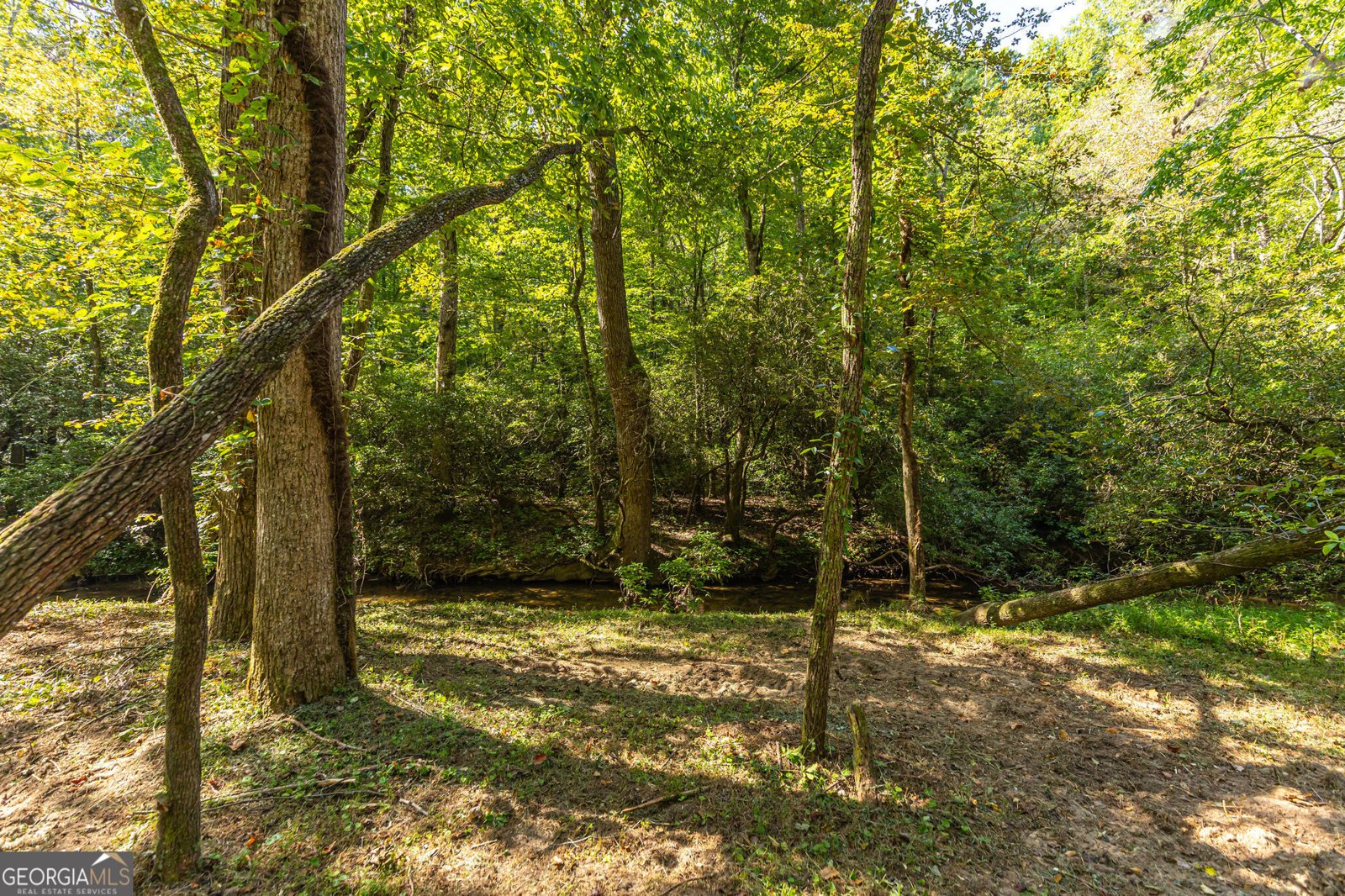 4542 Clear Creek Road Ellijay - 55
