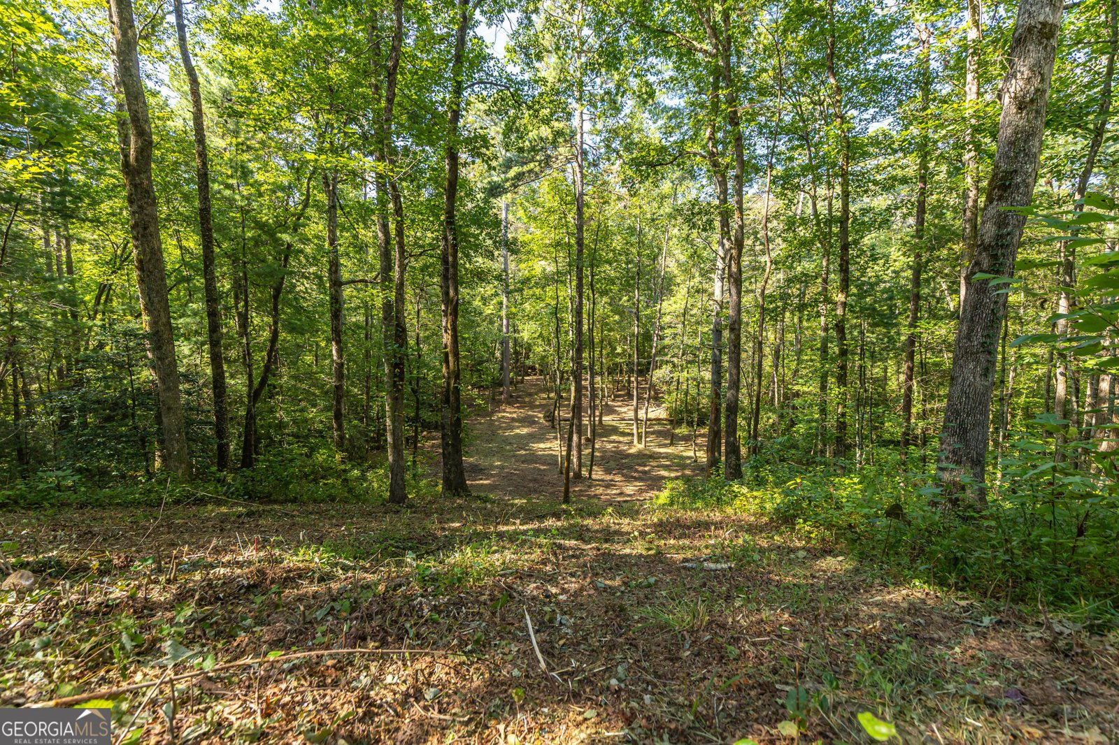 4542 Clear Creek Road Ellijay - 56
