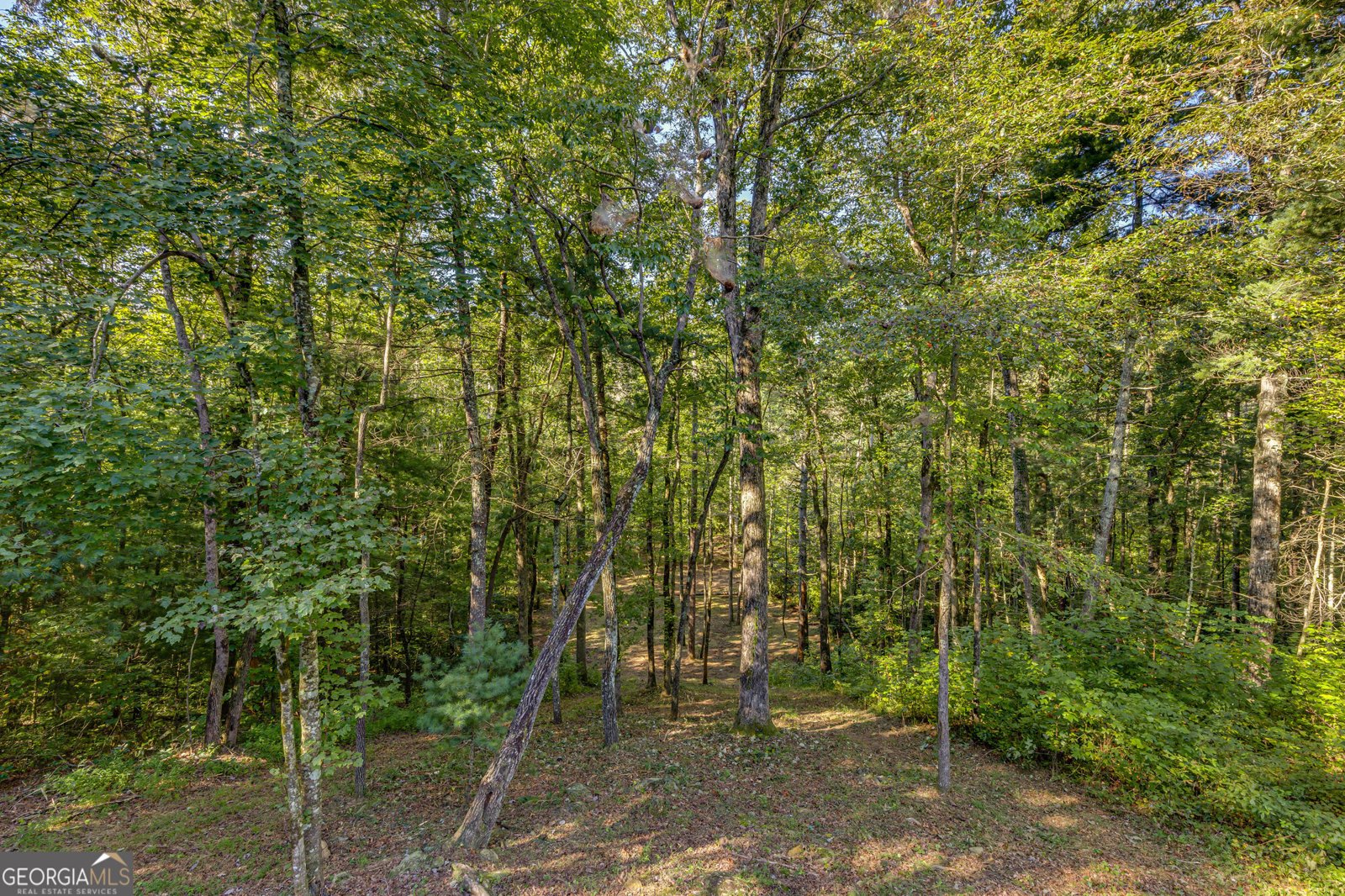 4542 Clear Creek Road Ellijay - 57