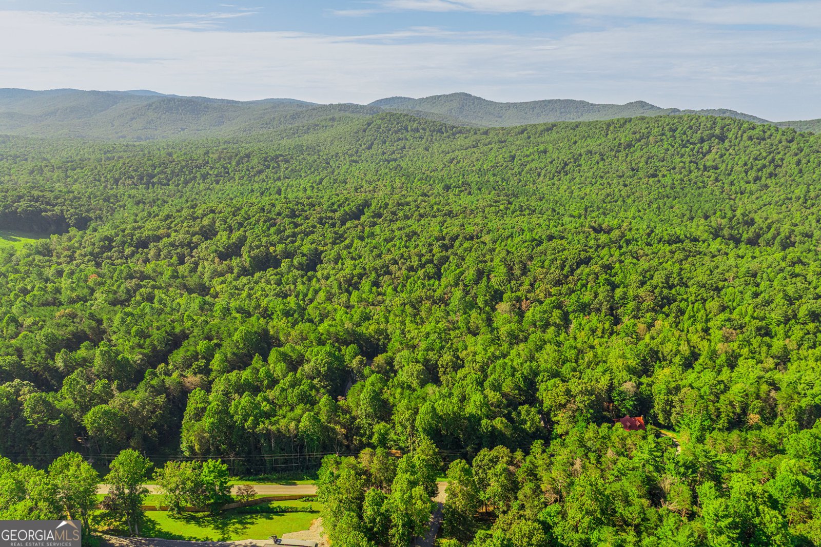 4542 Clear Creek Road Ellijay - 61