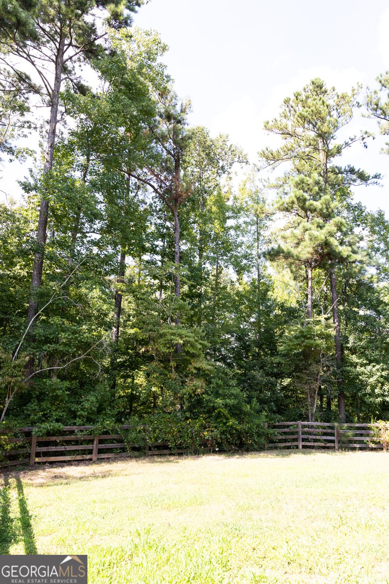 337 Cranmore Place Villa Rica - 7