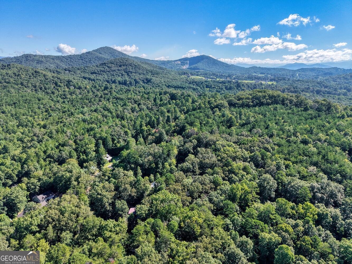 2110 Brasstown Lane Young Harris - 1