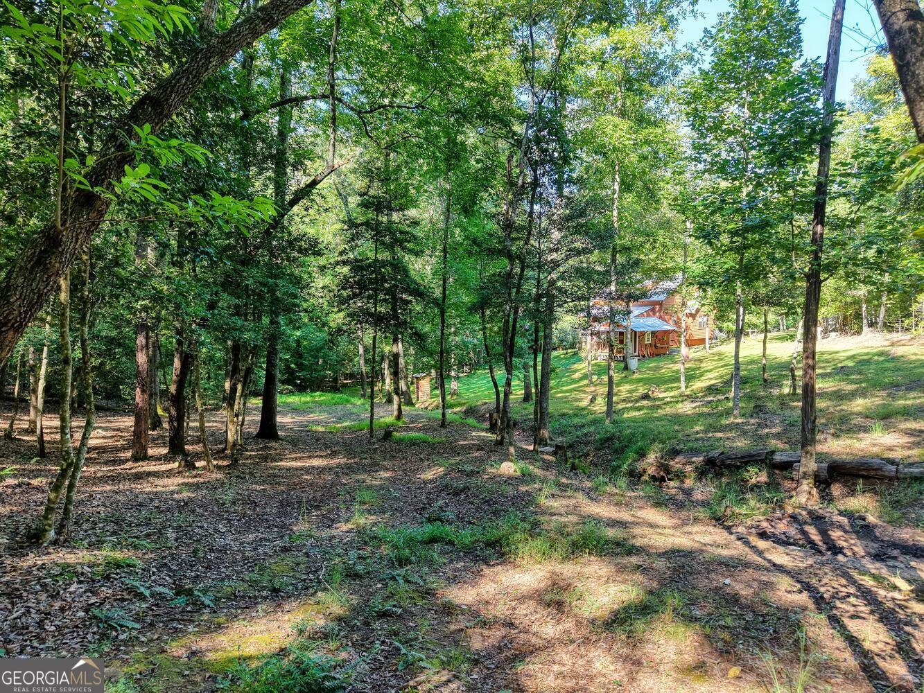 2110 Brasstown Lane Young Harris - 2